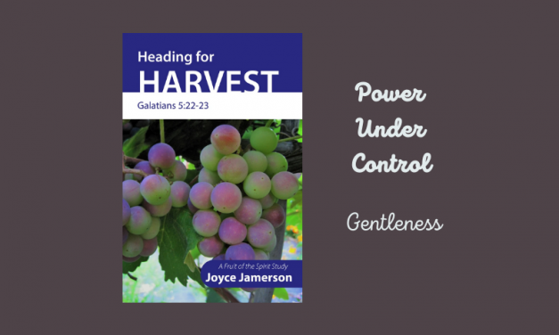 Power Under Control — Gentleness