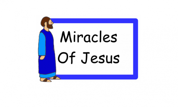 Miracles of Jesus Pop-up Book