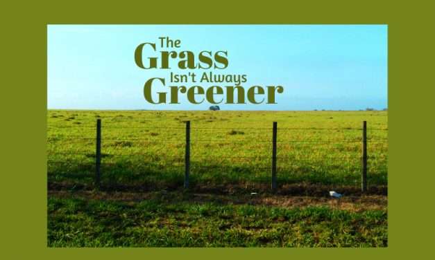 The Grass Isn’t Always Greener