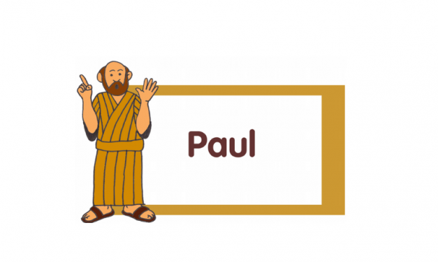 Paul Pop-up Book